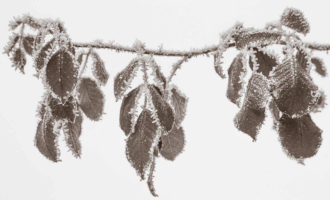 關(guān)于十字繡裝裱價(jià)格的研究，以2米十字繡為例的探討