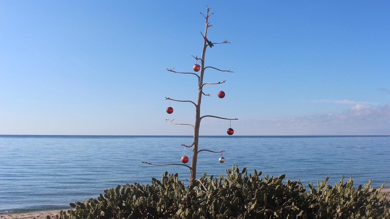 瑞昌立肇線最新動(dòng)態(tài)，邁向未來的步伐與展望