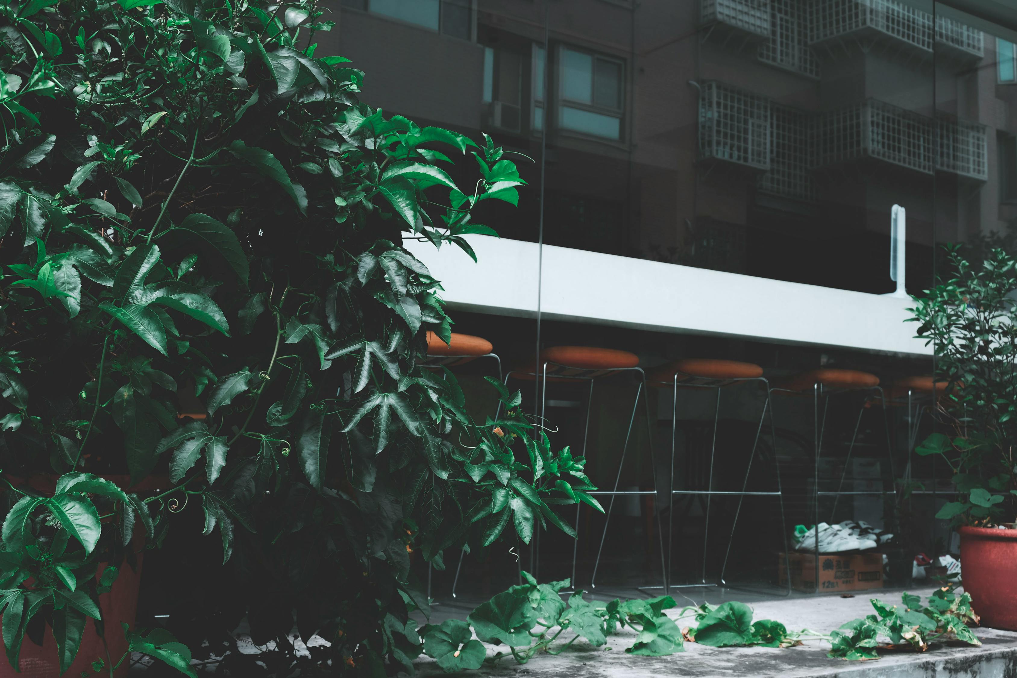 蠡縣持續(xù)拆違推進(jìn)城市更新，打造宜居環(huán)境新篇章