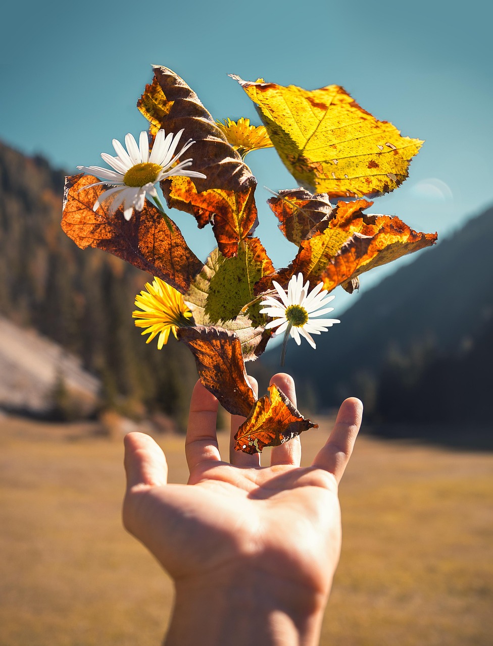 明日花新作品揭秘，探索藝術(shù)的無窮魅力與創(chuàng)意邊界