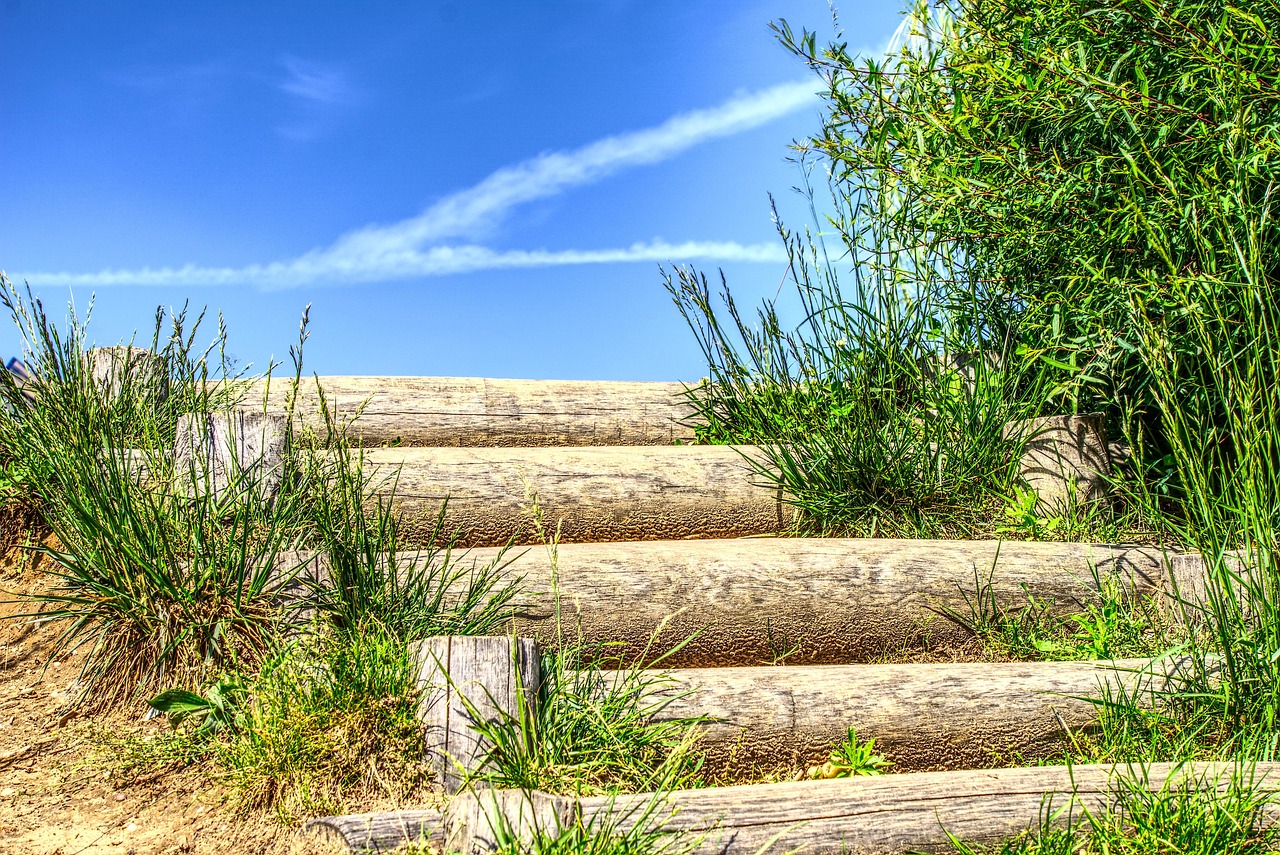 黎南崛起的探索與前瞻，動態(tài)發(fā)展展望