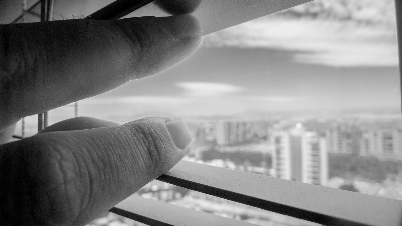 沙洋房產(chǎn)最新樓盤價格概覽及最新動態(tài)分析