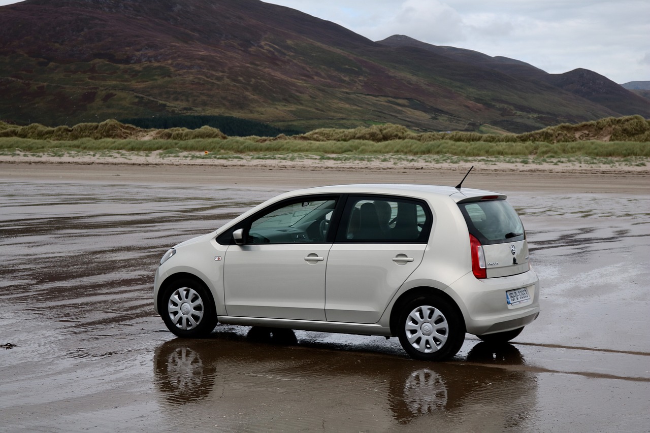 龍桑高速2017年最新進(jìn)展報(bào)告揭秘，最新動(dòng)態(tài)與成果概覽