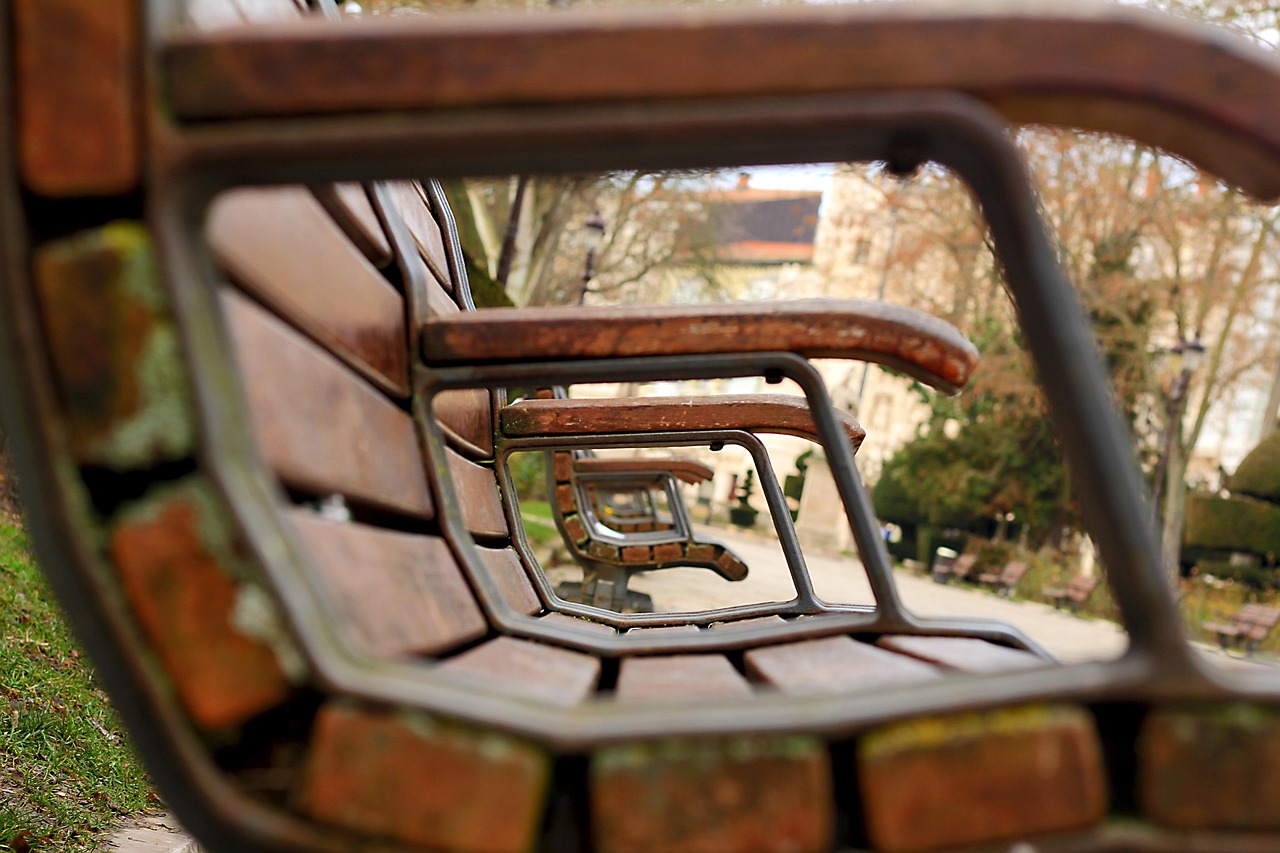 合肥最新發(fā)展動態(tài)，蓬勃興起的現(xiàn)代化城市