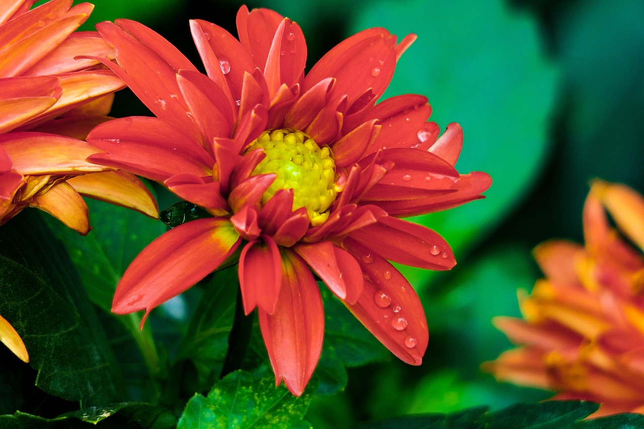 銀川香港遠(yuǎn)東控股集團(tuán)最新動(dòng)態(tài)，引領(lǐng)變革，塑造未來之路