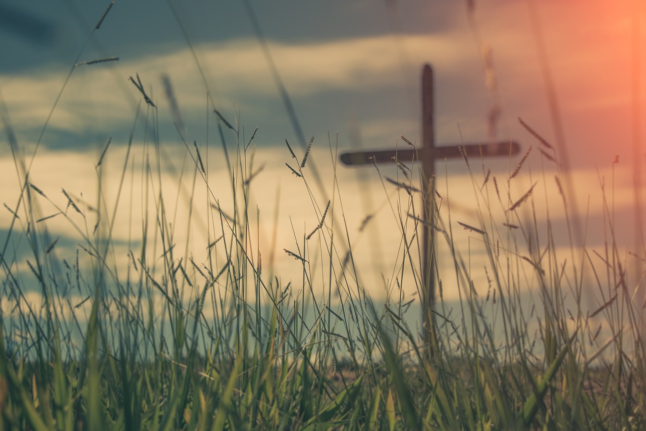 三體演員，從文字到熒屏的跨越之旅