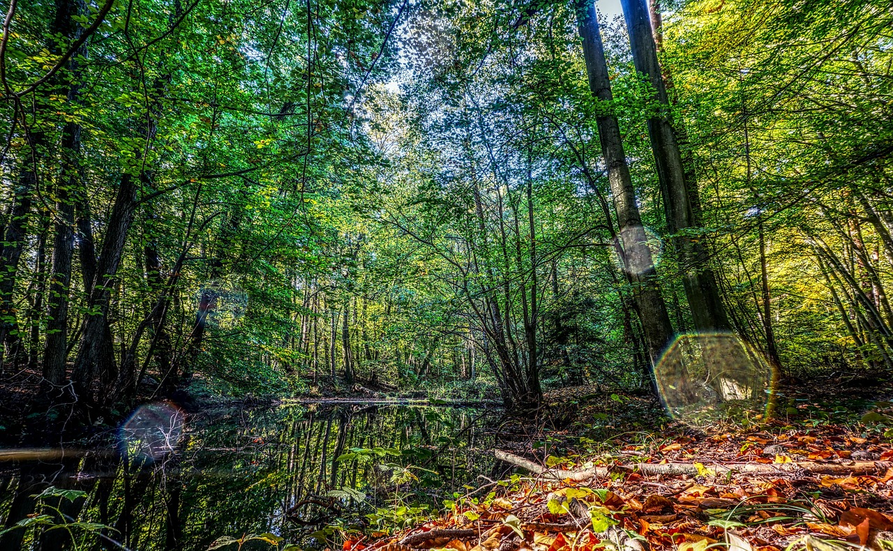 四季康城三期最新房價動態(tài)分析與趨勢預測