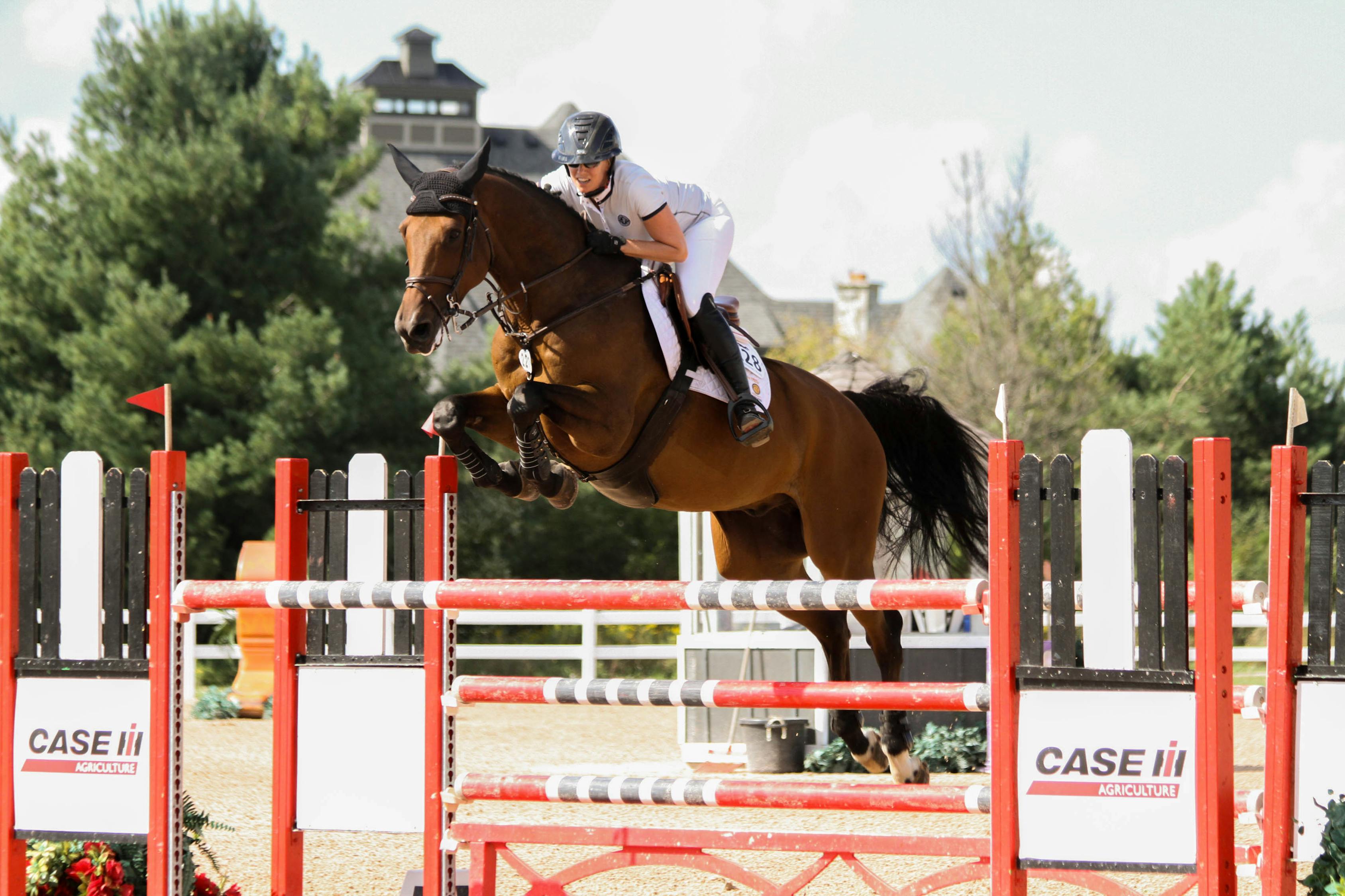 牛車比賽，傳統(tǒng)與力量的激情較量