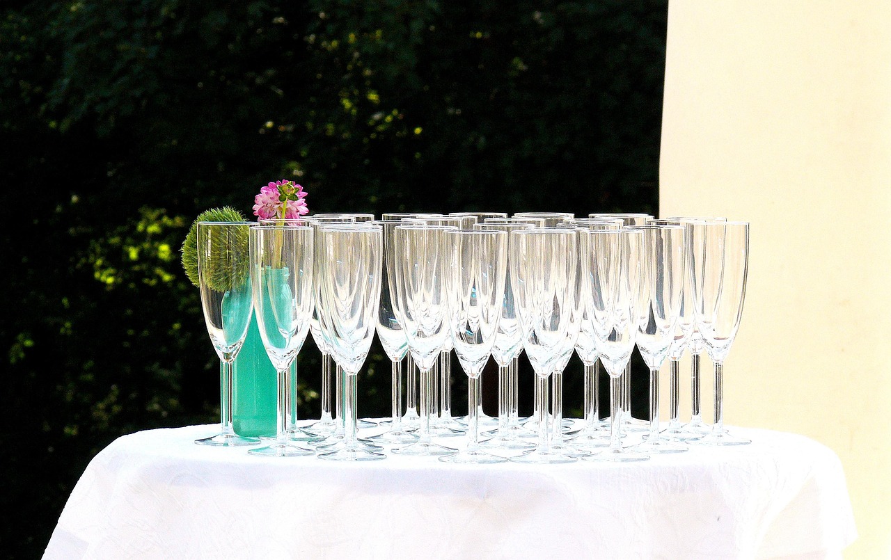 寧波老虎傷人事件最新進展，最新動態(tài)更新