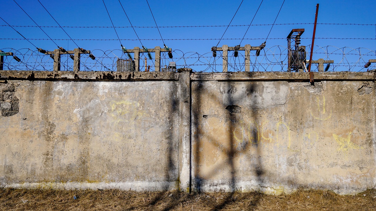 安培動態(tài)，探索未來科技前沿，引領(lǐng)發(fā)展潮流