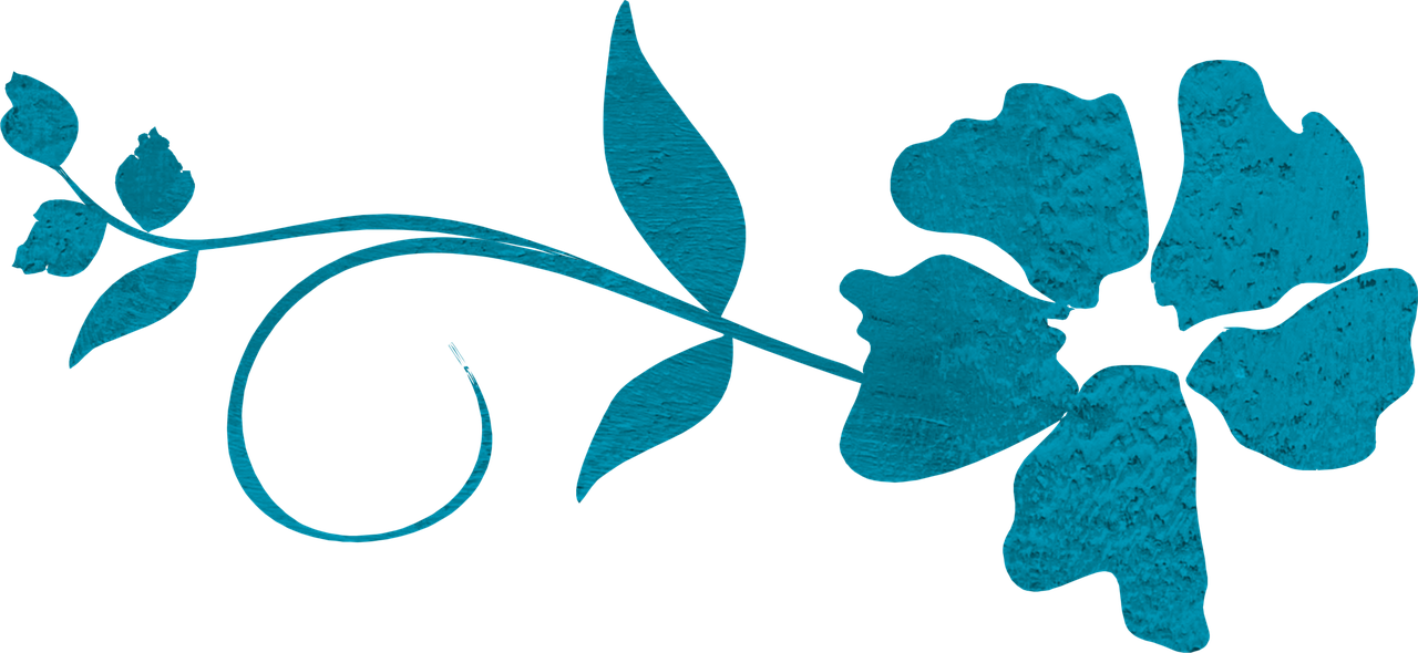 鳩江區(qū)白茆鎮(zhèn)蓬勃發(fā)展新貌，最新動態(tài)展示鄉(xiāng)鎮(zhèn)新風(fēng)采