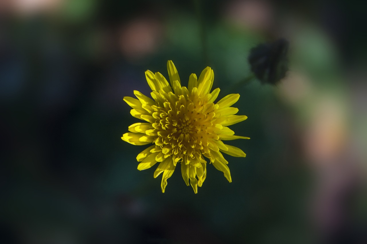 新塘順欣花園最新動態(tài)更新