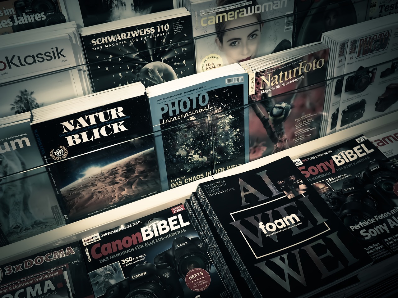 流光夏央 第31頁(yè)