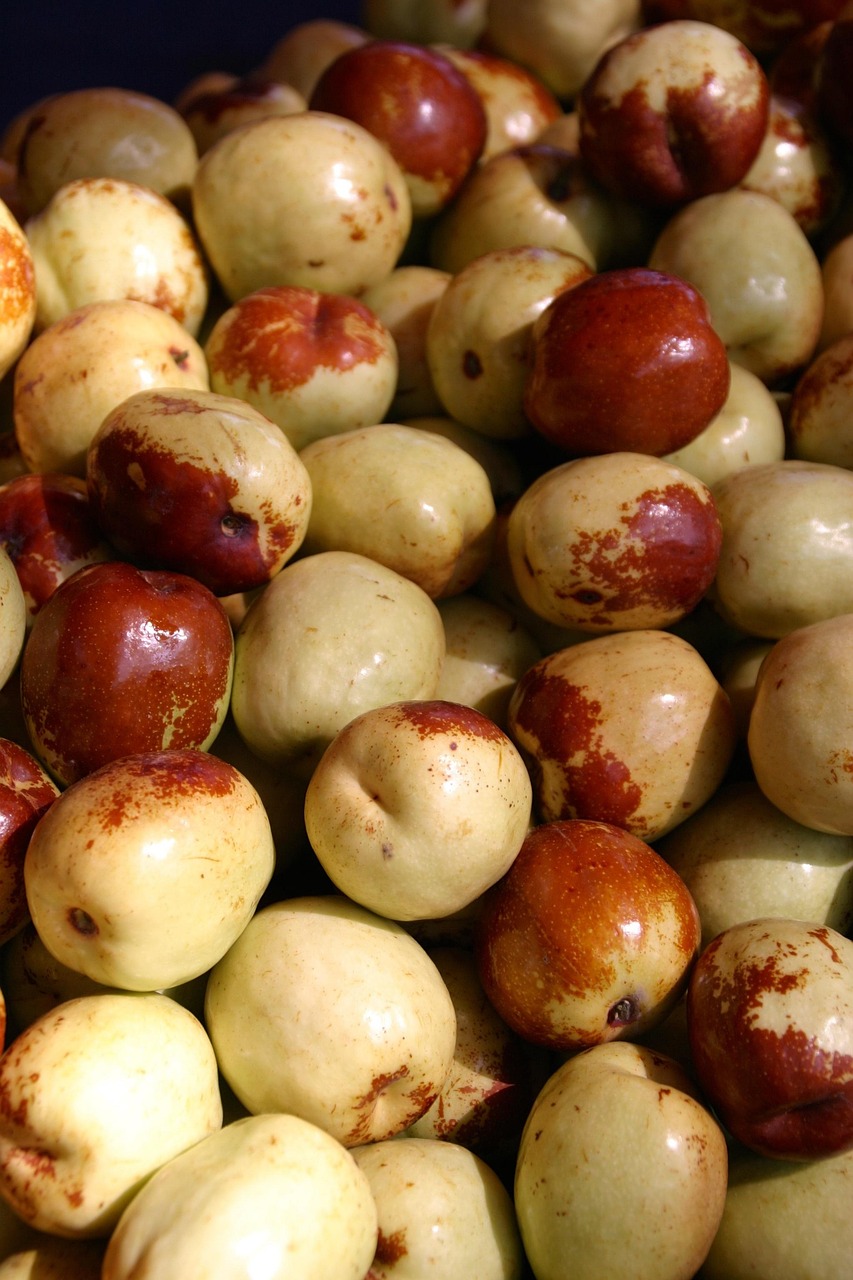 銀箋別夢 第29頁