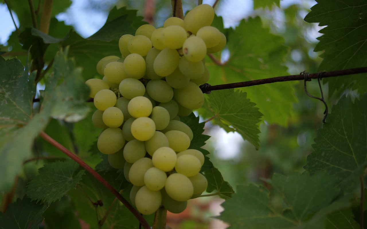 秦俊杰楊紫星光璀璨下的情感糾葛，最新動(dòng)態(tài)引人關(guān)注