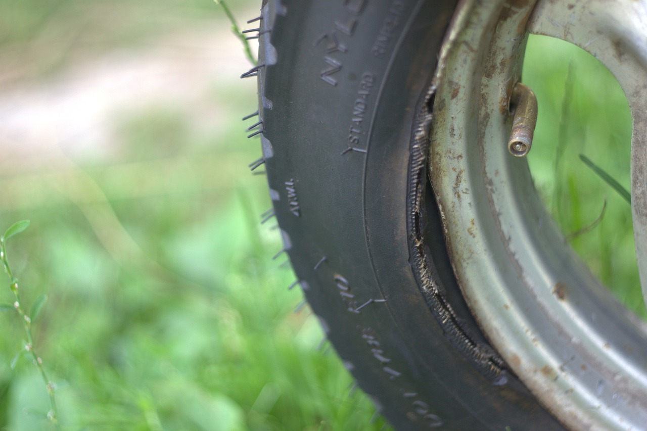 阿什河最新動(dòng)態(tài)，生態(tài)恢復(fù)與流域發(fā)展的融合之路探索