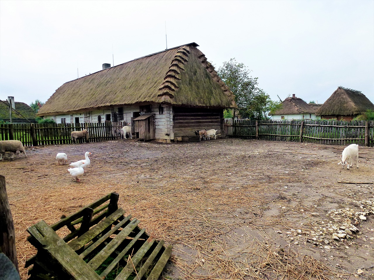 最新農(nóng)村房屋補償政策詳解與解析