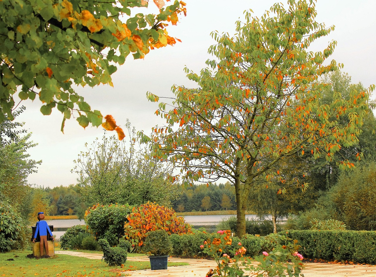 井口公租房最新資訊概覽，了解最新動態(tài)與資訊匯總