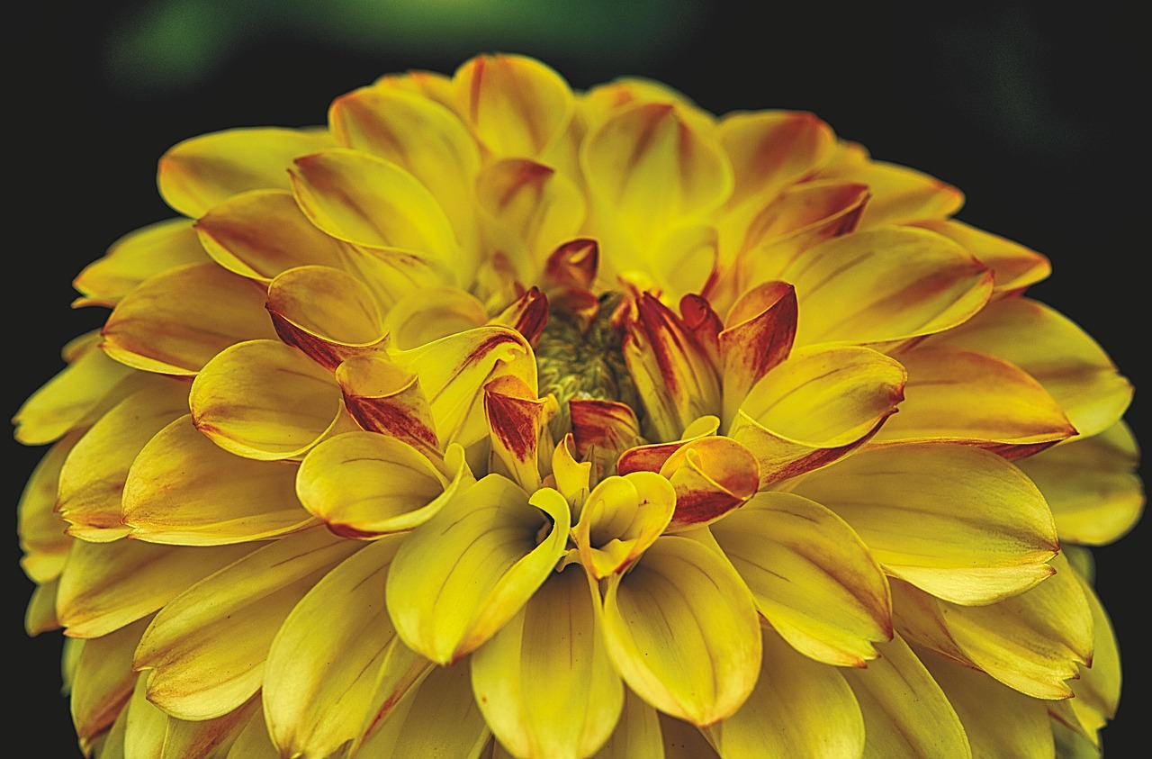 杭州地鐵11號線藍圖初繪，最新動態(tài)揭示未來已來