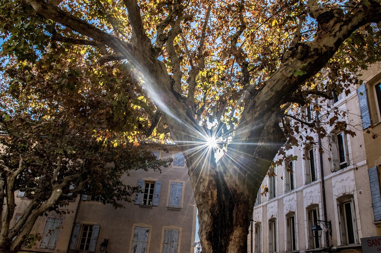 康先生最新動態(tài)與夏佳，共創(chuàng)輝煌，探索前沿新動態(tài)