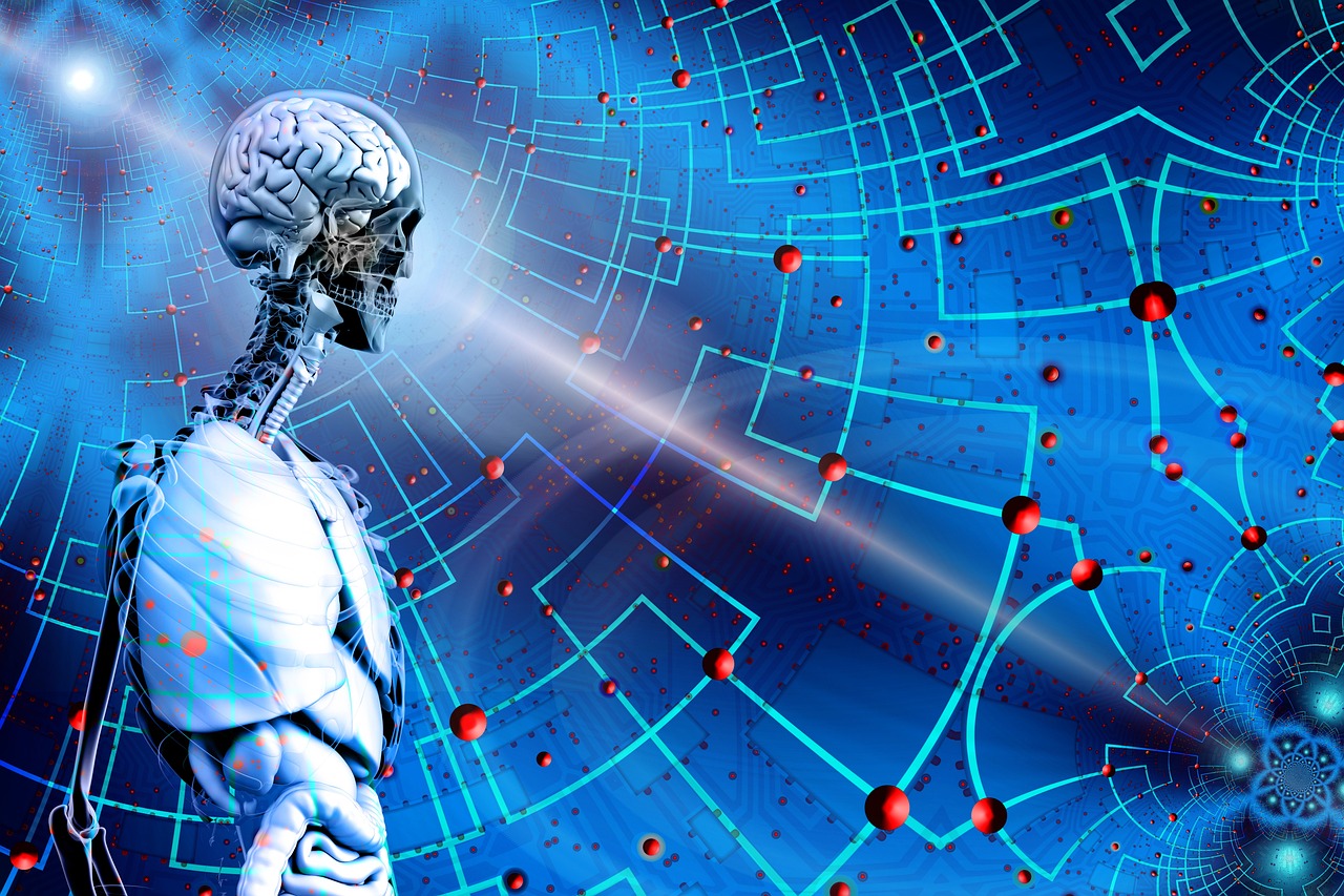 鵬博士股票深度解析與未來展望，發(fā)展路徑及前景展望。