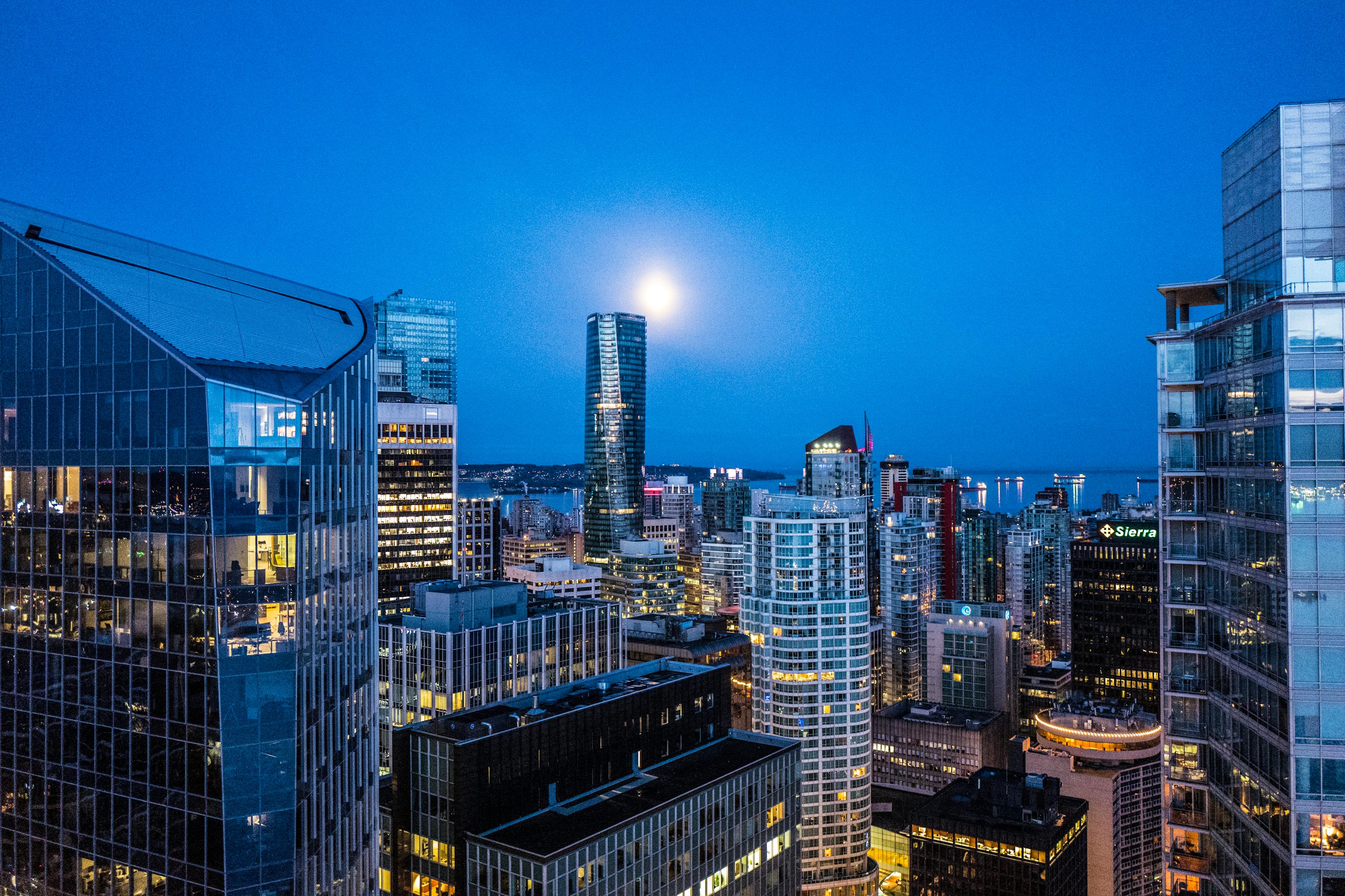 海棠正酣 第24頁