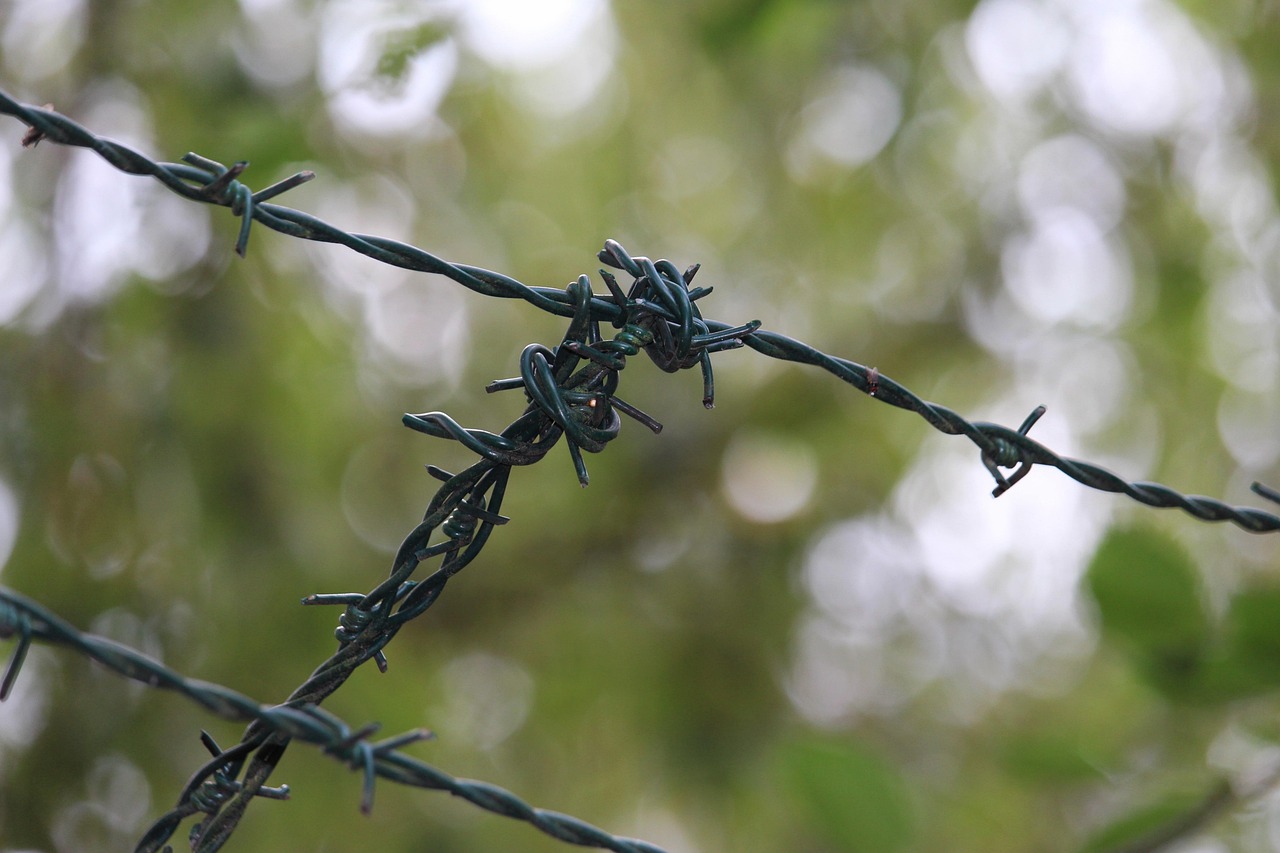 全國醫(yī)保聯(lián)網(wǎng)最新動態(tài)，構(gòu)建無縫醫(yī)療保障體系