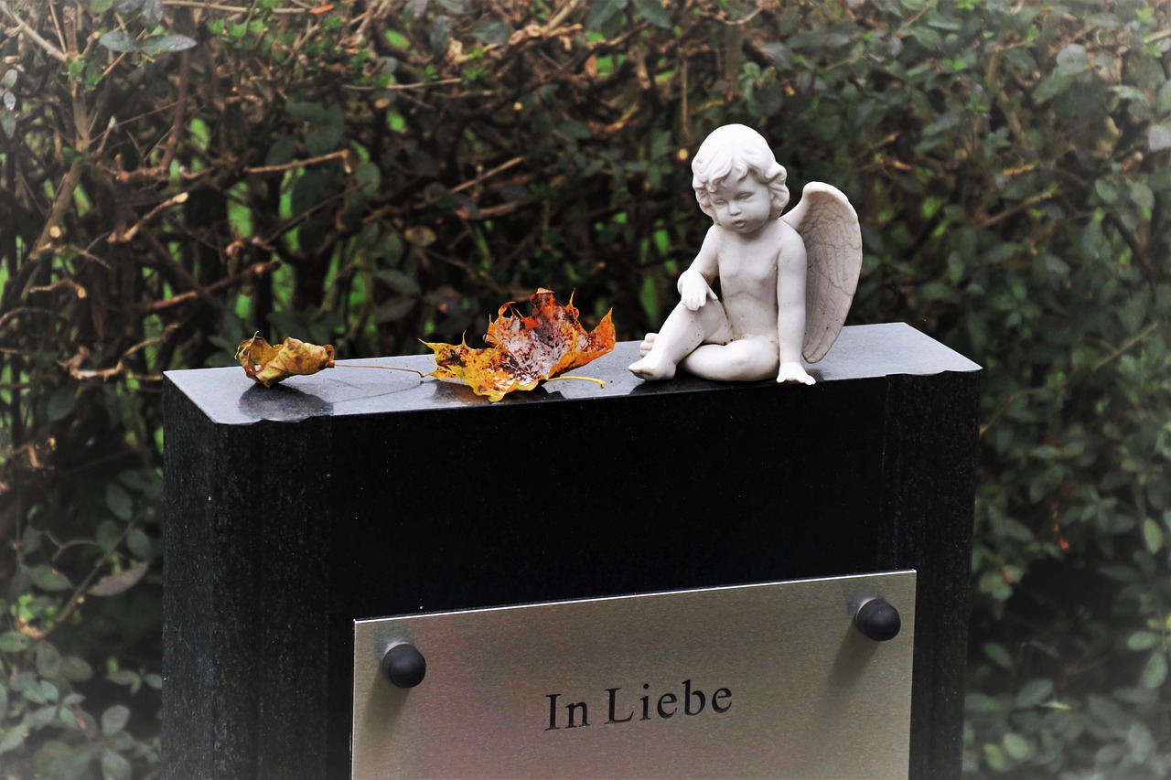 大學(xué)生活微電影，青春記憶與情感投射的影像之旅