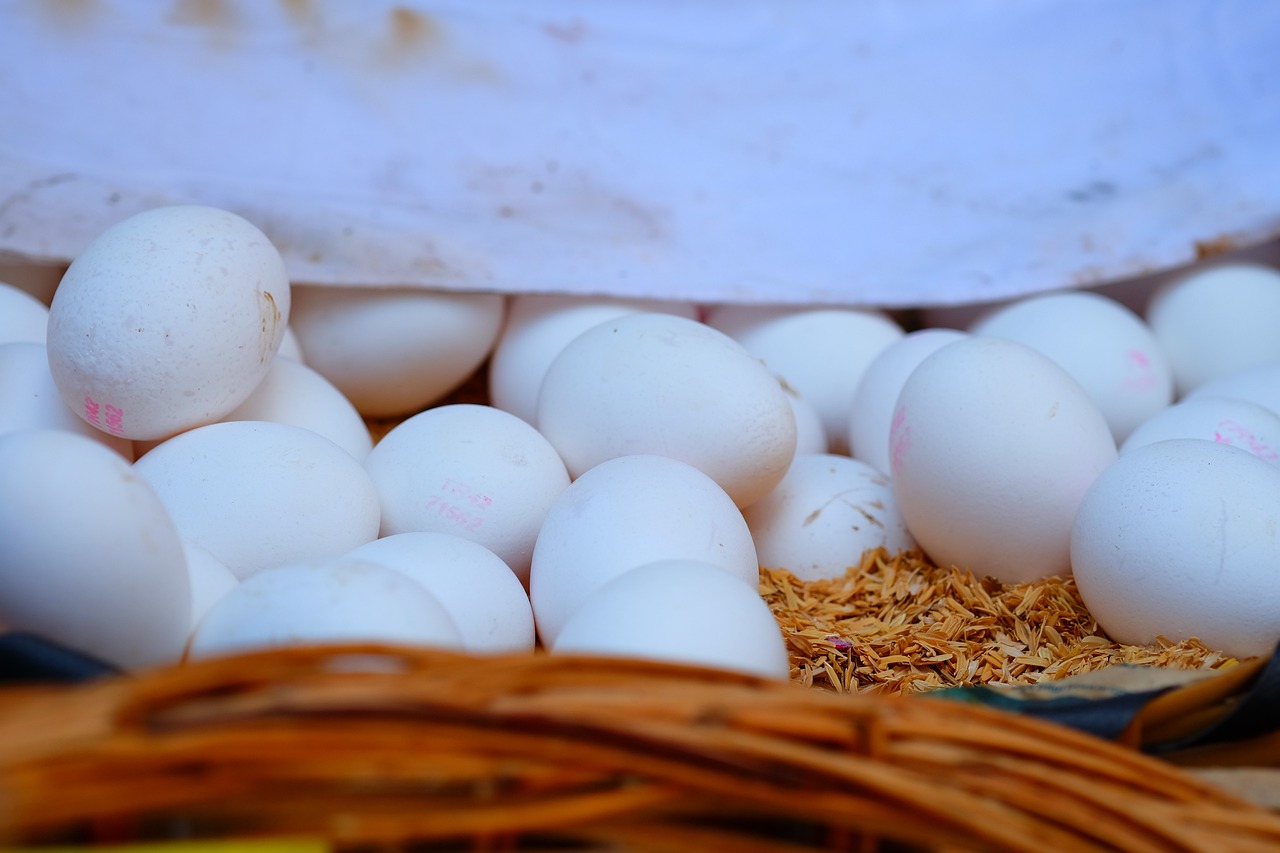 鐠釹最新價格動態(tài)分析與趨勢預(yù)測