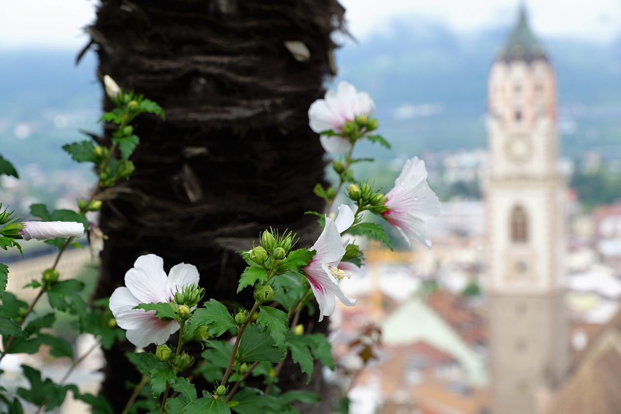 夏至期滿 第23頁