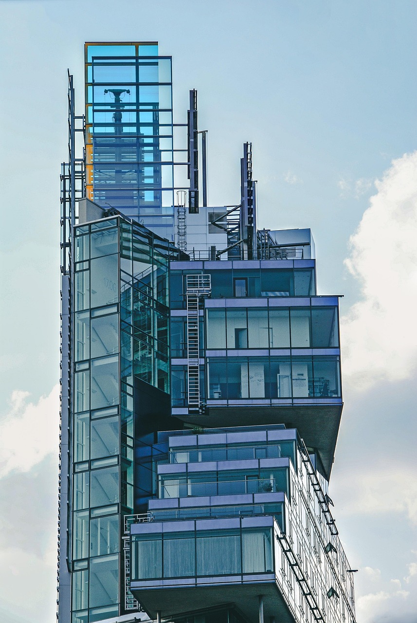 城市寵物管理挑戰(zhàn)，最新禁犬令動態(tài)與解決方案探討