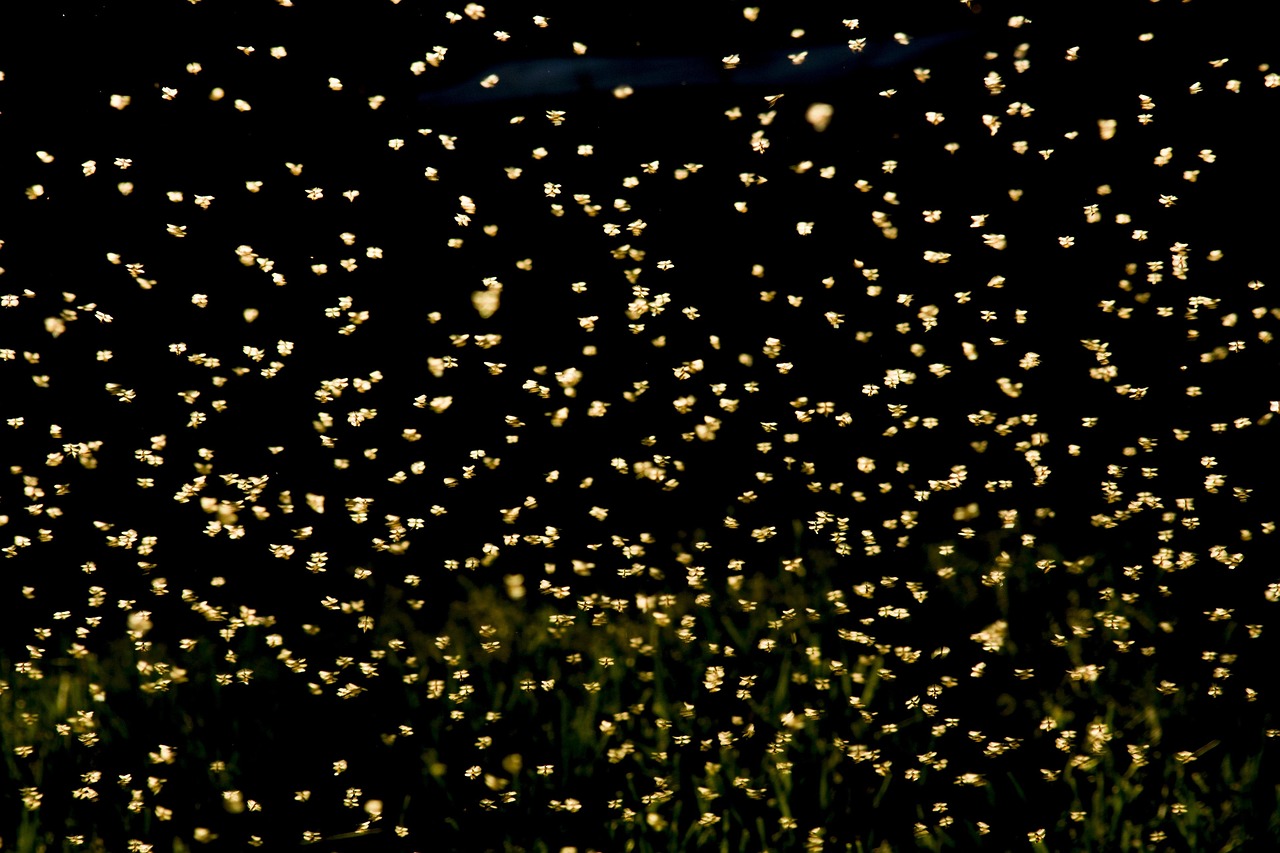 長光辰芯上市之路，探索、挑戰(zhàn)與未來展望