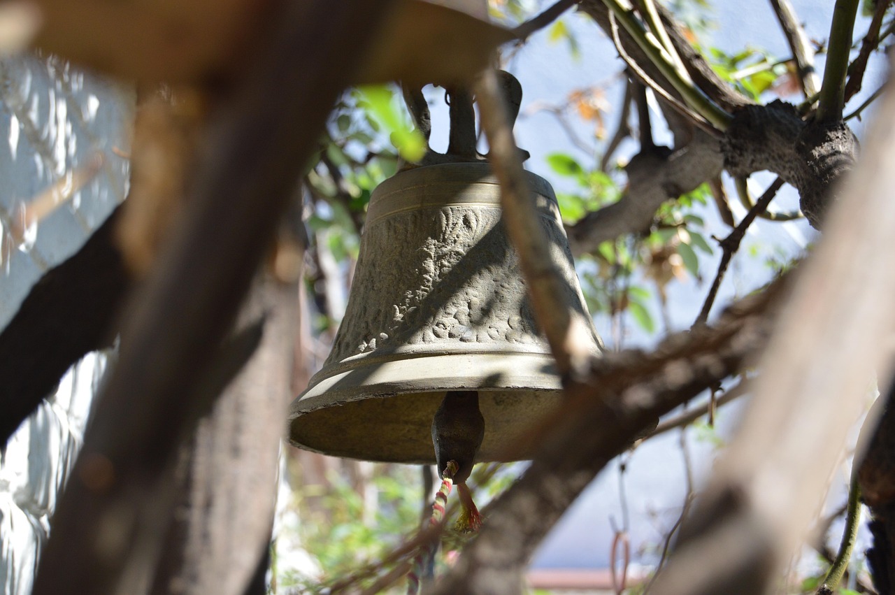 上海人才市場(chǎng)最新職位招聘動(dòng)態(tài)概覽