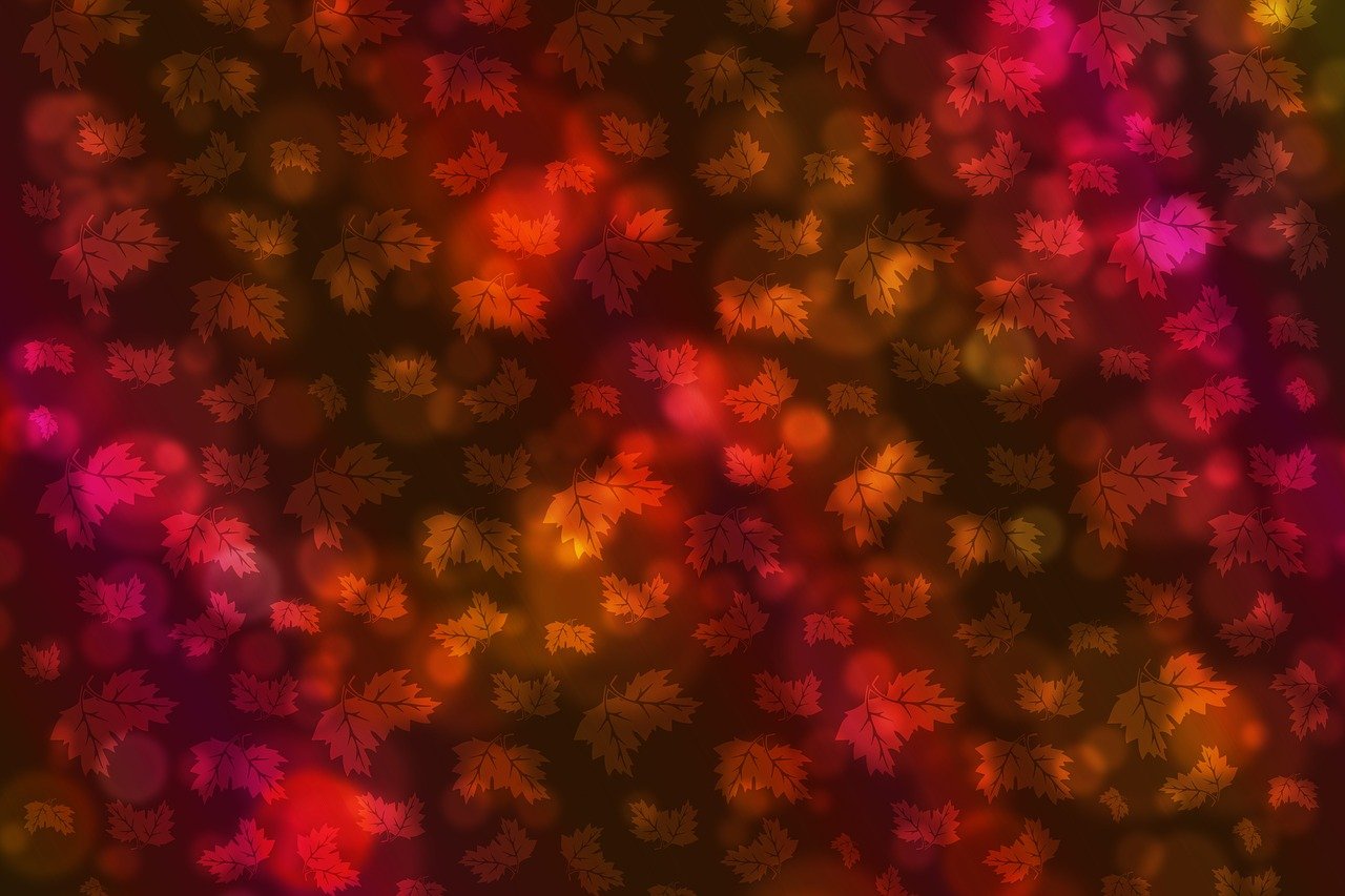 祝曉雋，閃耀光芒，照亮未來之路