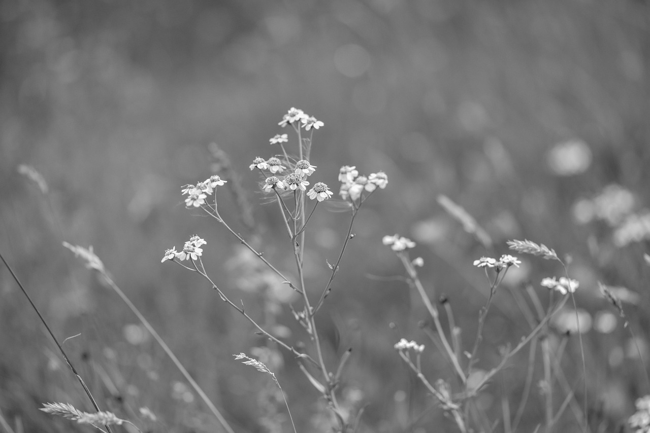 吉林廢銅價格最新動態(tài)及分析摘要