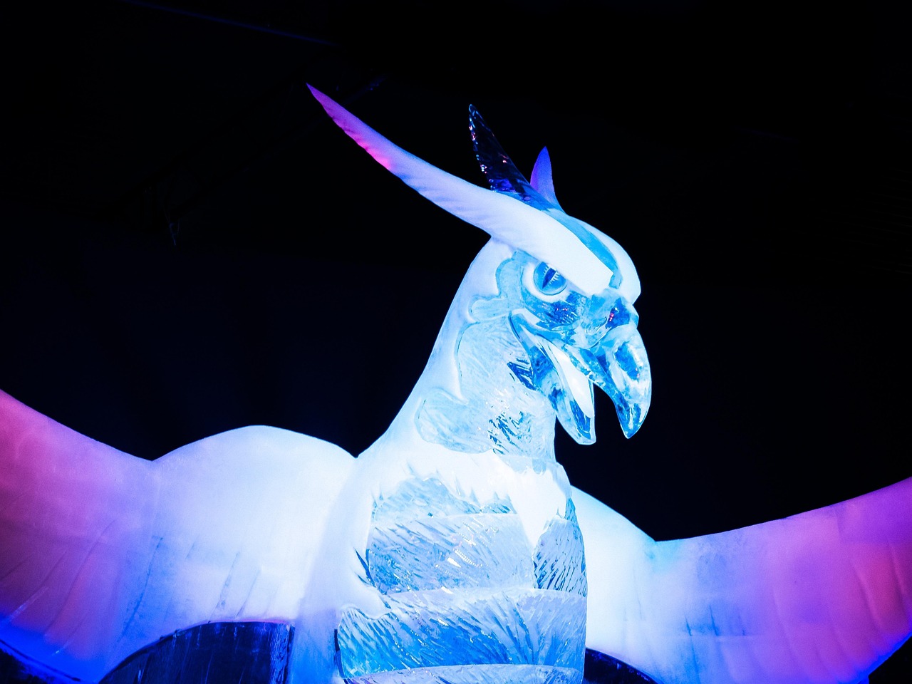 根呷最新動態(tài)，展現時代潮流與無限潛力