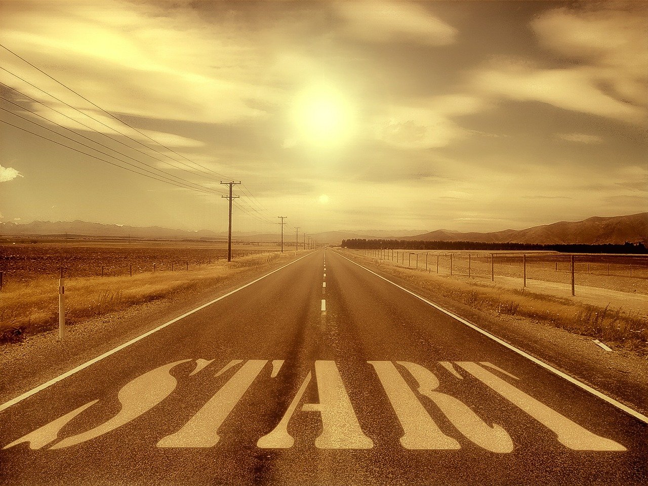 鄭爽張翰最新動態(tài)，演藝之路開啟新篇章