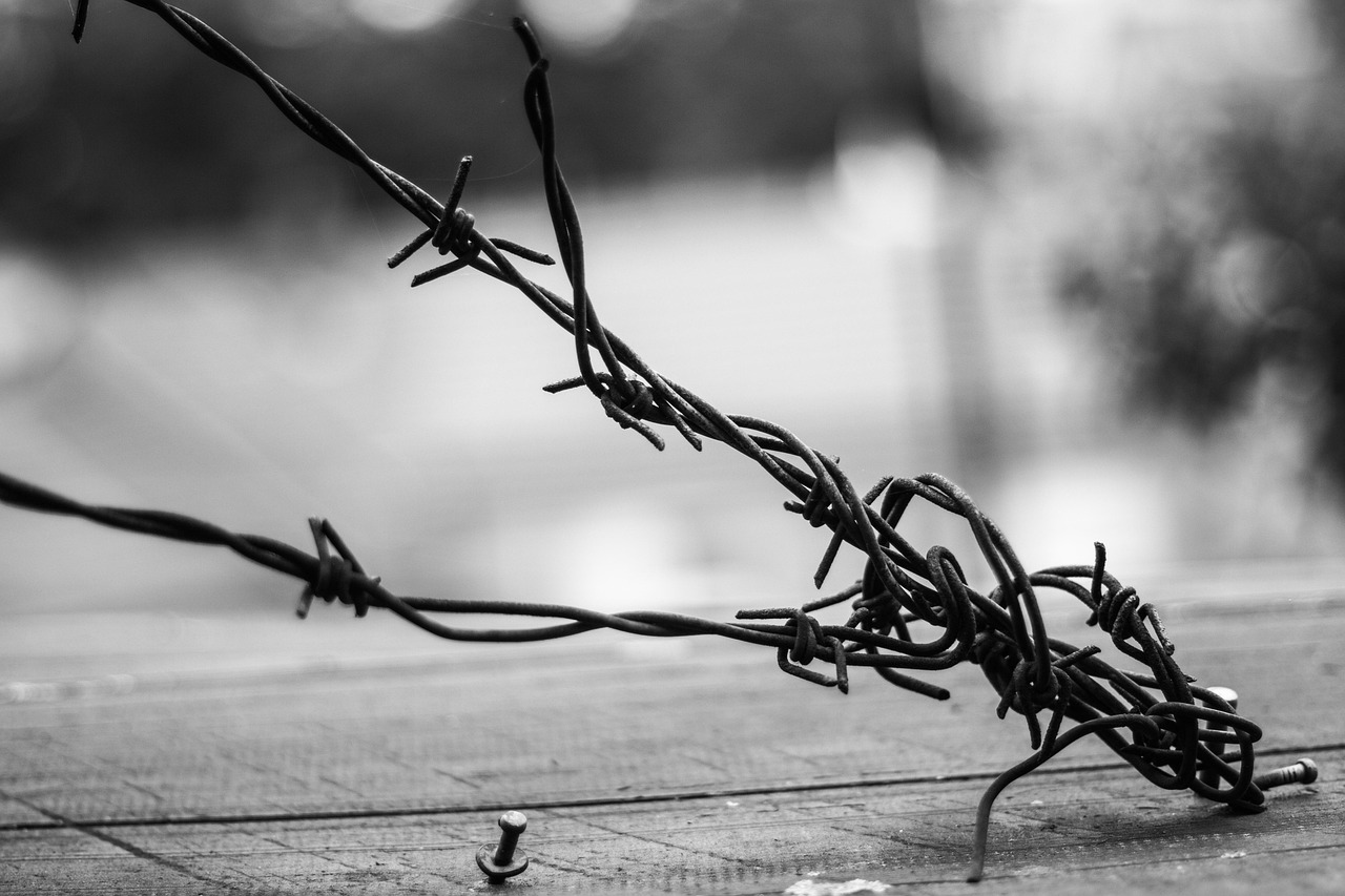 徐克最新電影作品，探索電影藝術(shù)的無(wú)限邊界