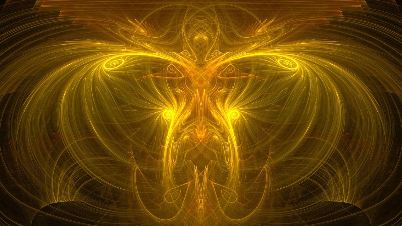 蜘蛛最新小說(shuō)，奇幻世界的新篇章編織者