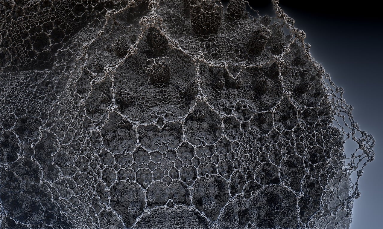 依醬最新動(dòng)態(tài)，時(shí)尚潮流引領(lǐng)者的新篇章