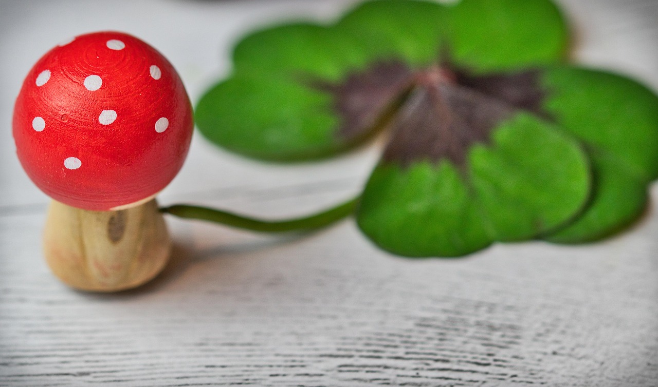 白敬亭展現(xiàn)多元魅力，近期動(dòng)態(tài)引粉絲期待新篇章