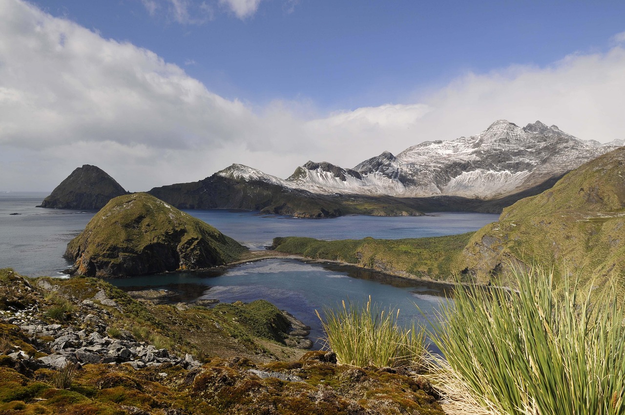 呼和浩特最新干部公告發(fā)布，人事調(diào)整動態(tài)更新