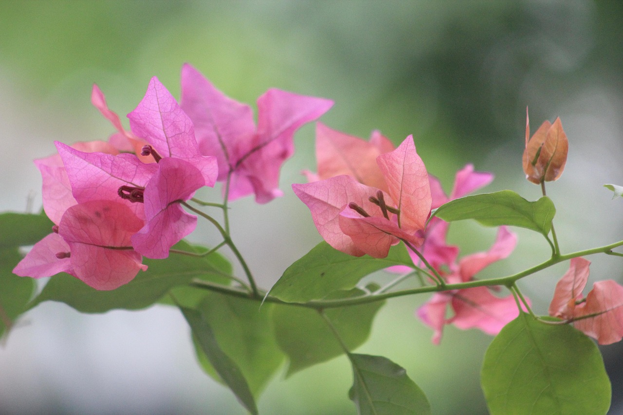 探索前沿科技無限潛力，未來六新動(dòng)態(tài)展望