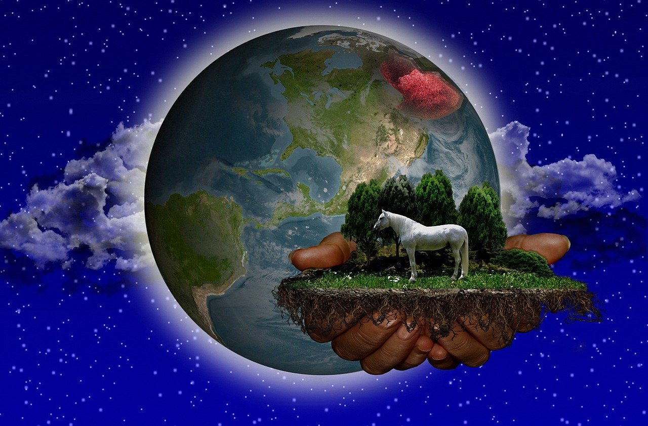 我一世的春暖花 第20頁(yè)