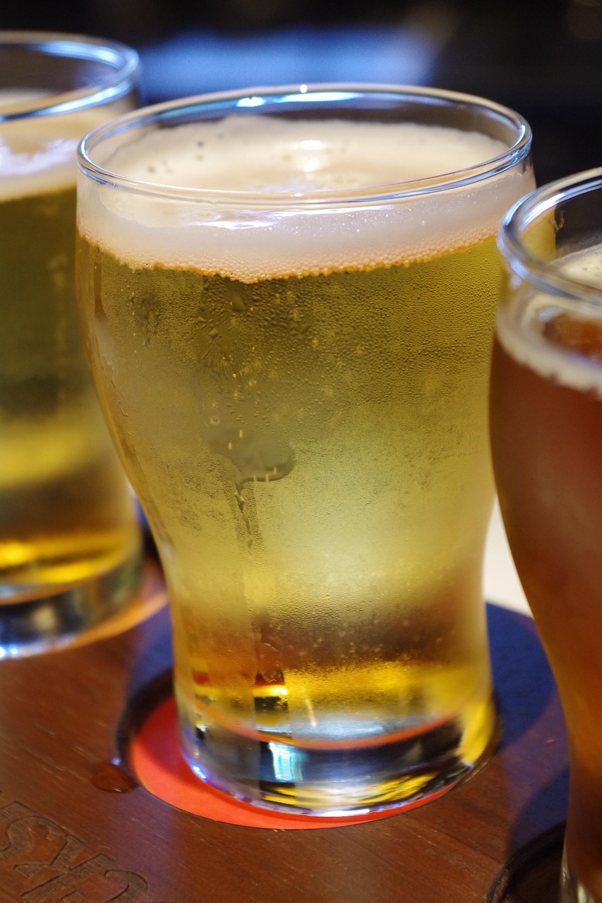 千歲國際引領(lǐng)變革，塑造未來最新動態(tài)