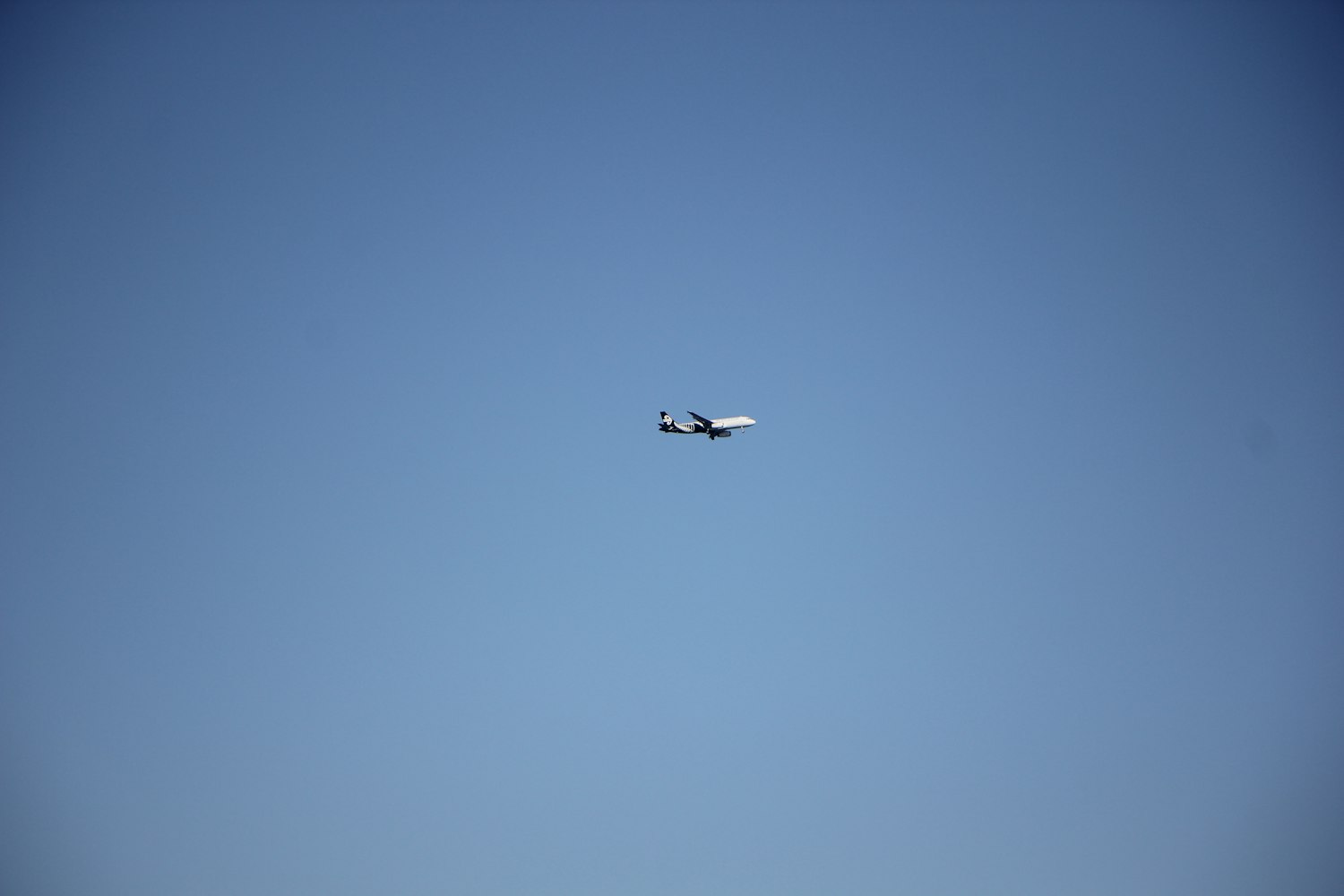 動漫圖片中的純凈白色，夢幻交織之美