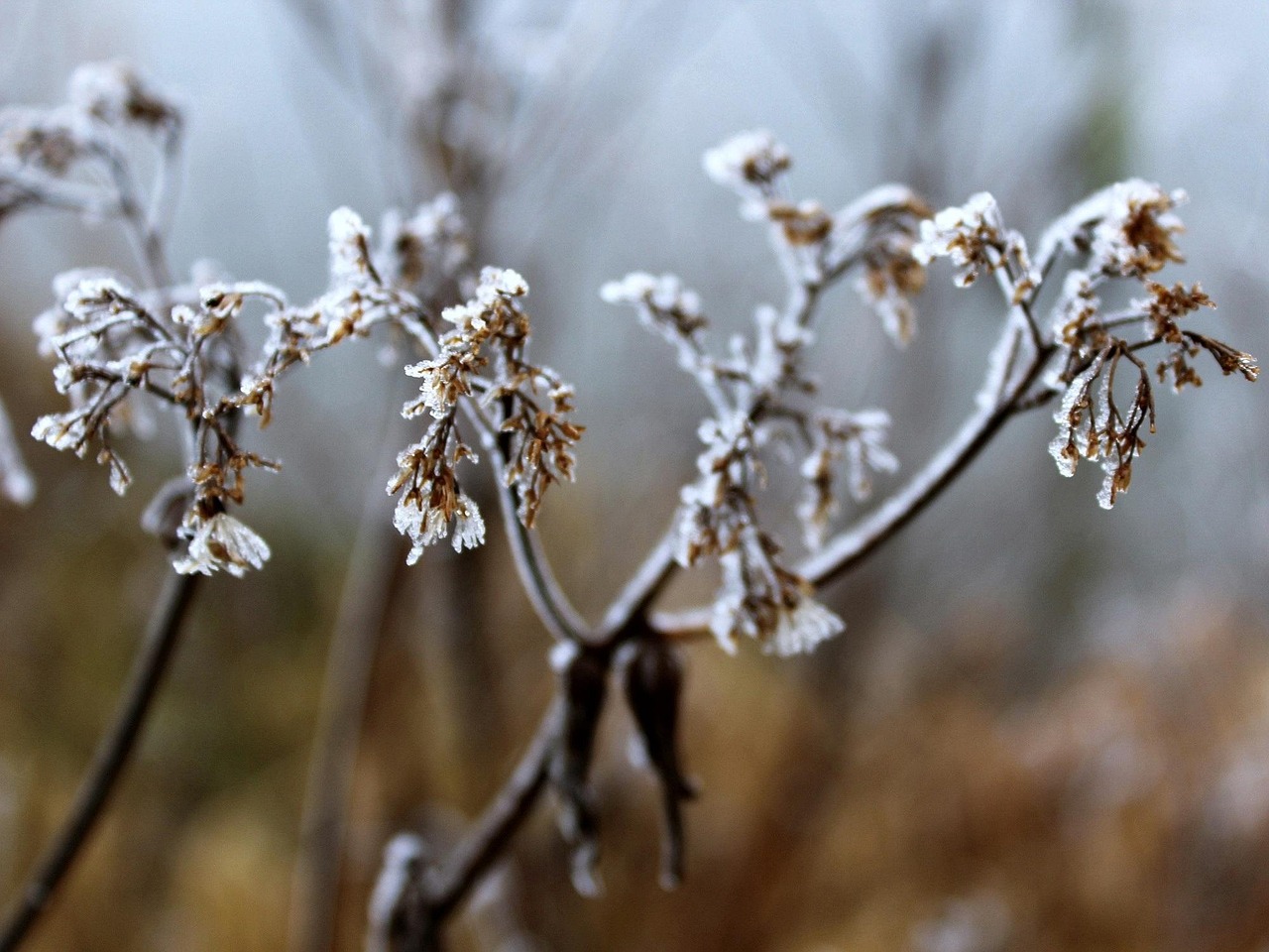 大雪冬至電影，溫情與深意的冬日篇章