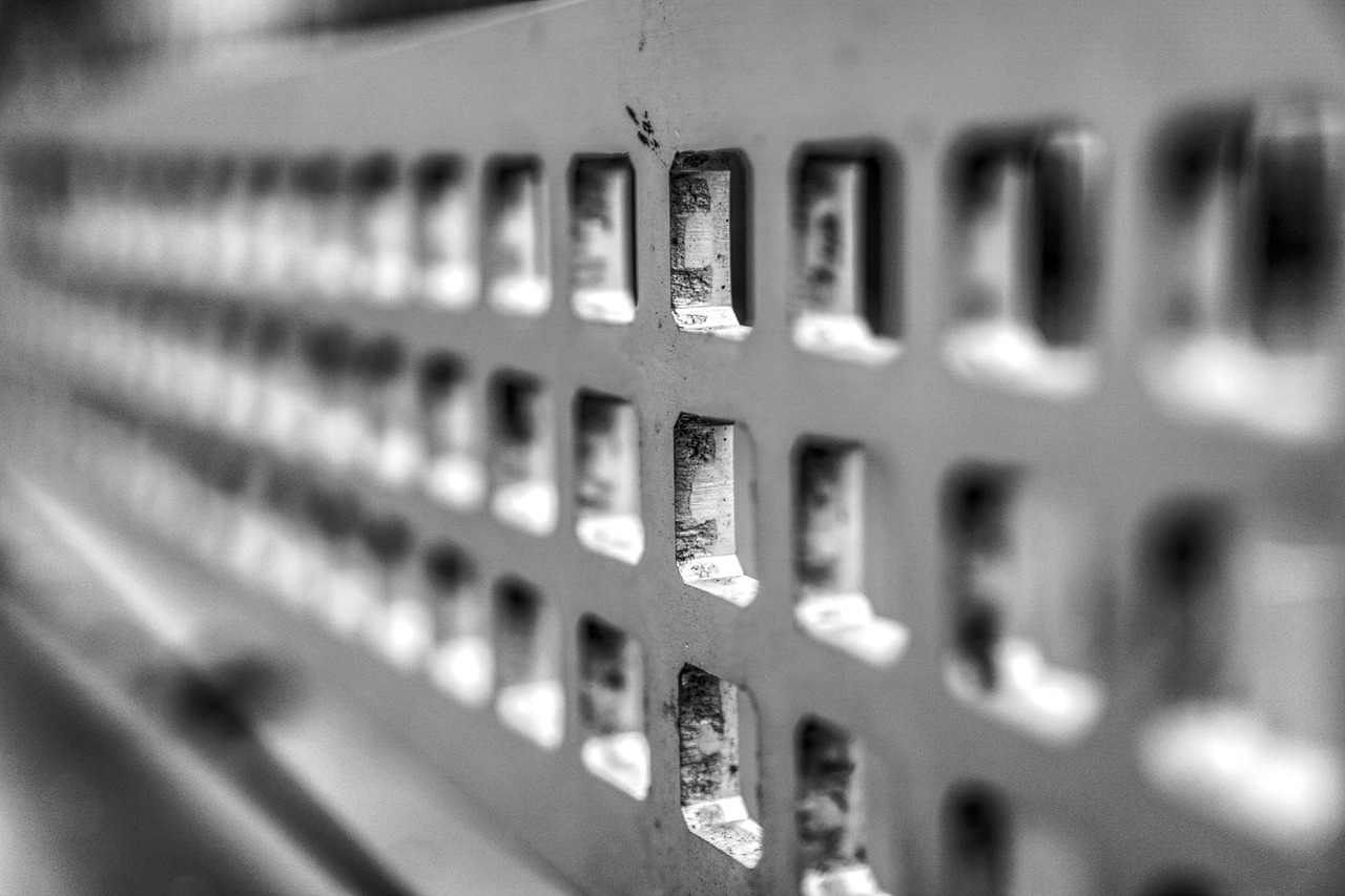 河南最新生豬價(jià)格動(dòng)態(tài)更新