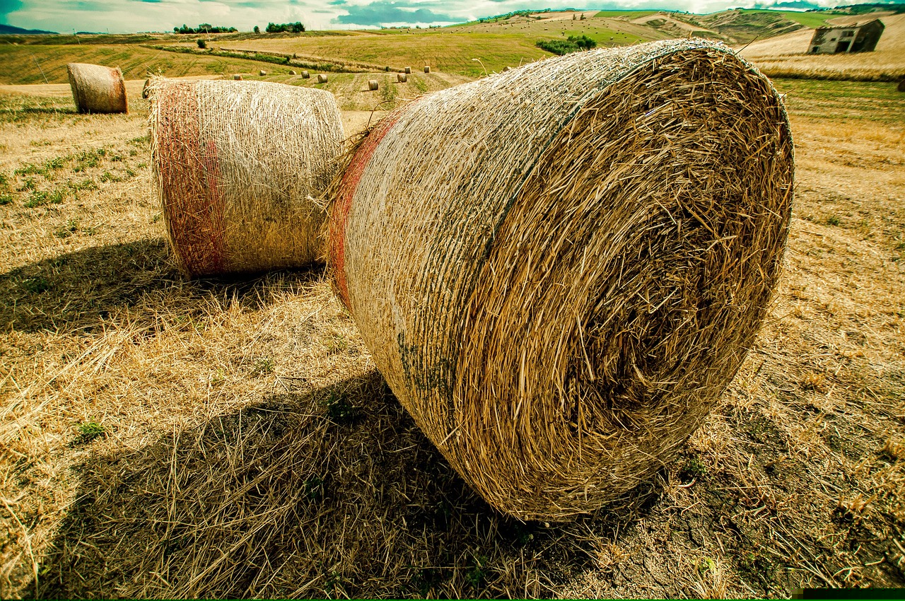 錦龍股份引領(lǐng)行業(yè)變革，共創(chuàng)輝煌未來最新動(dòng)態(tài)