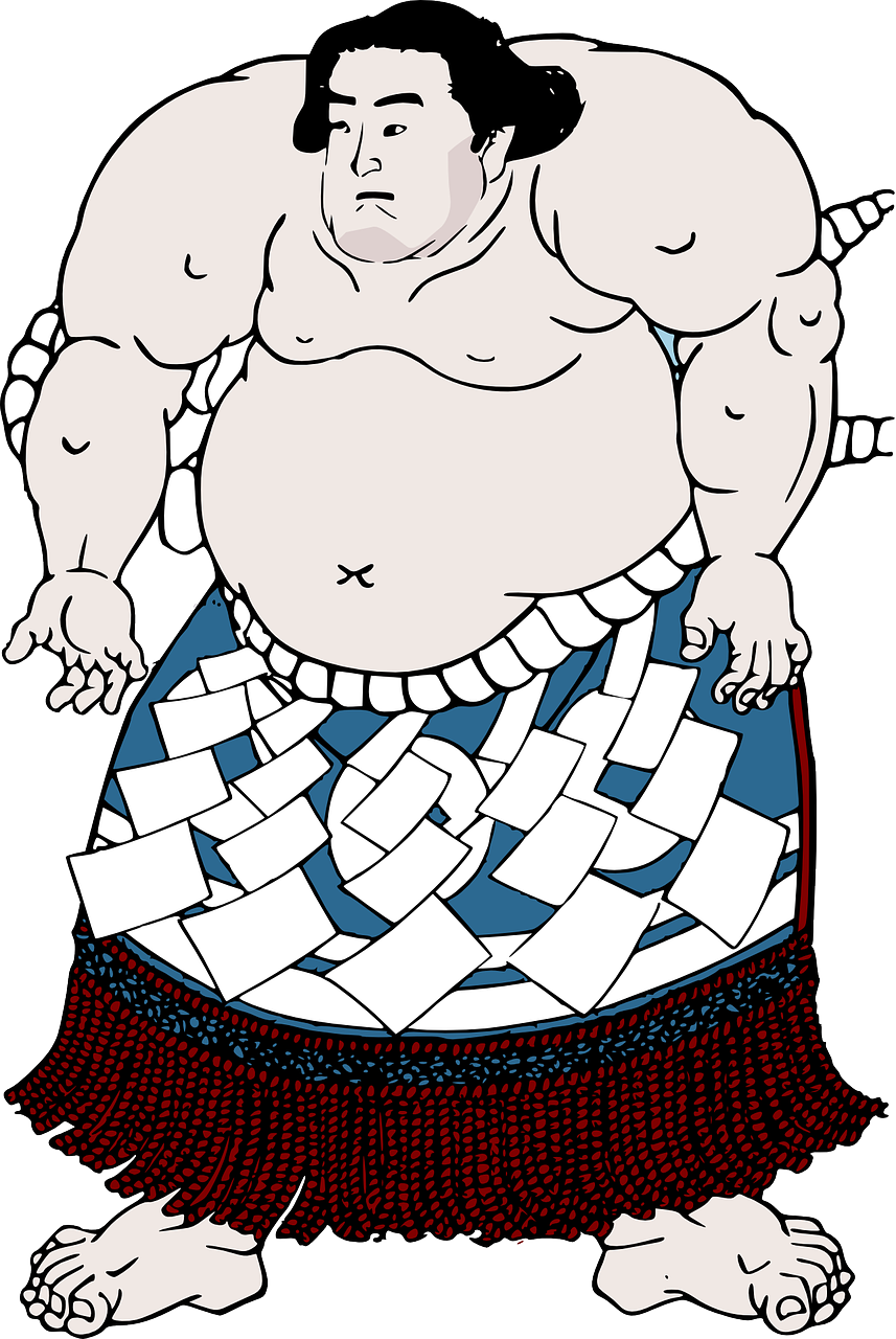 日本相撲橫綱比賽，力與技的巔峰對(duì)決